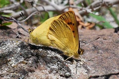 width=480 height=320