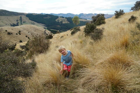 width=480 height=320