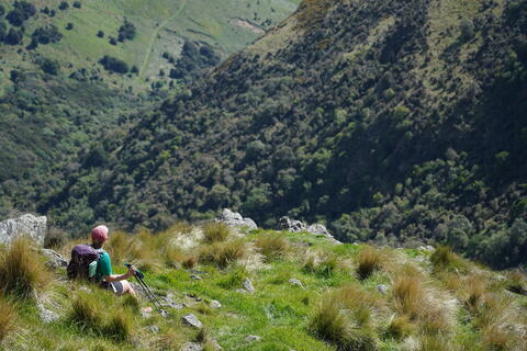 width=480 height=320