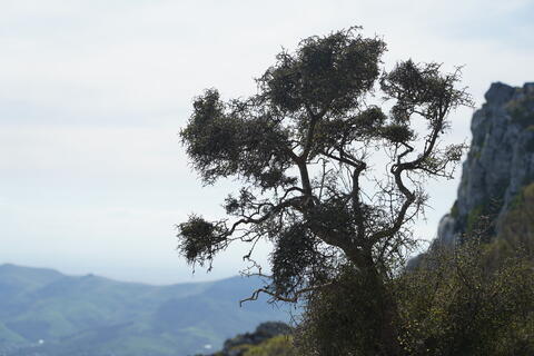 width=480 height=320