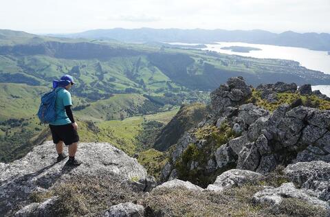 width=480 height=316